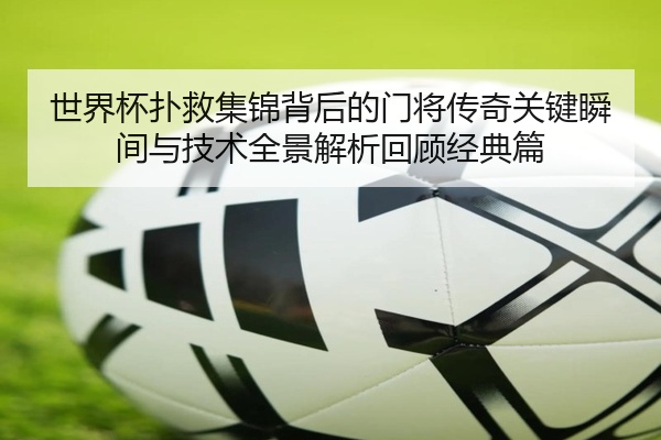 世界杯扑救集锦背后的门将传奇关键瞬间与技术全景解析回顾经典篇