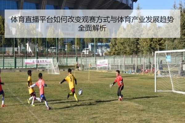 体育直播平台如何改变观赛方式与体育产业发展趋势全面解析